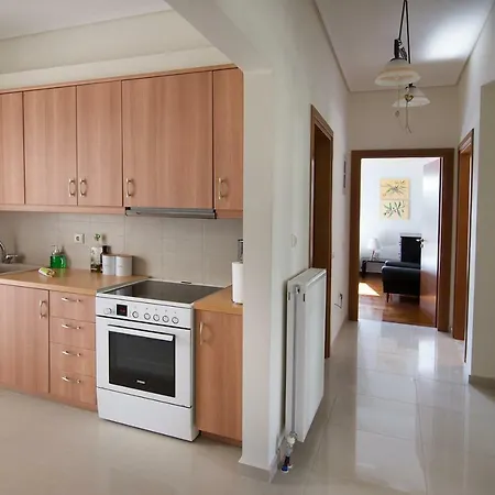 Apartment Explore From A Brand New *