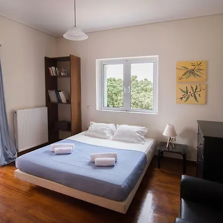 Apartment Explore From A Brand New *